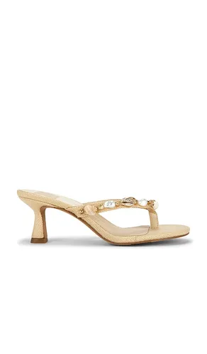 TONG À TALON DAKSIE en . Taille 7. Also en 7.5, 8.5 - Dolce Vita - Modalova