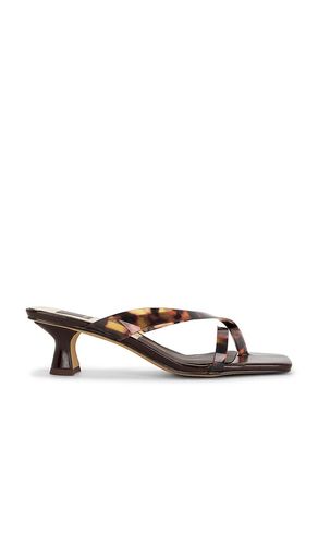 SANDALES BREVEL en . Taille 6. Also en 6.5, 7.5, 8, 8.5, 9, 9.5 - Dolce Vita - Modalova