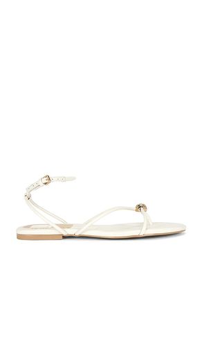 SANDALES KENLEY en . Taille 10. Also en 6, 6.5, 7, 7.5, 8, 8.5, 9, 9.5 - Dolce Vita - Modalova