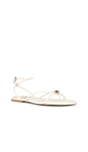 SANDALES KENLEY en . Taille 10. Also en 6, 6.5, 7.5, 8, 8.5, 9, 9.5 - Dolce Vita - Modalova