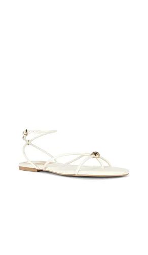 SANDALES KENLEY en . Taille 6. Also en 6.5, 7.5, 8, 8.5, 9, 9.5, 10 - Dolce Vita - Modalova