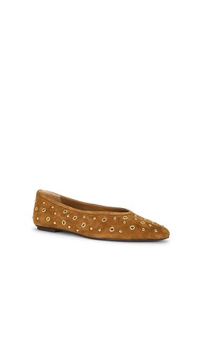 BALLET CARET STUD en . Taille 6.5. Also en - Dolce Vita - Modalova