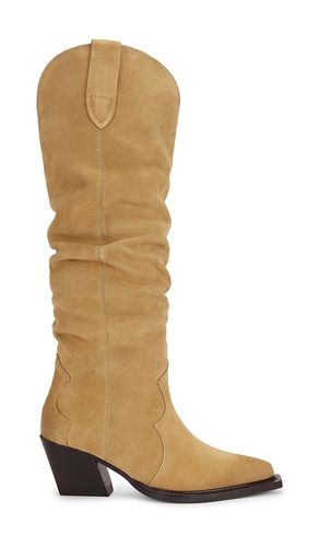BOTTINES BUCKLY en . Taille 6. Also en 6.5, 7, 7.5, 8.5, 9 - Dolce Vita - Modalova