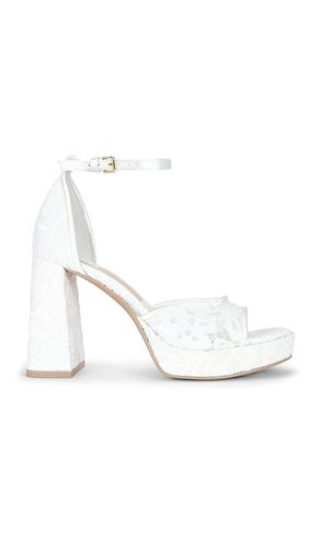 SANDALES PANDRO LACE en . Taille 6. Also en 6.5, 7, 7.5, 8, 8.5, 9, 9.5, 10 - Dolce Vita - Modalova