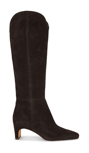 BOTTINES BRION en . Taille 6. Also en 6.5, 7, 7.5, 8, 8.5, 9, 9.5 - Dolce Vita - Modalova