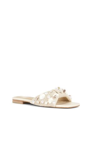 MULES PLATES LIZZA en . Taille 6. Also en 6.5, 7, 7.5, 8, 8.5, 9, 9.5, 10 - Dolce Vita - Modalova
