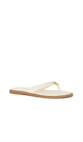 TONGS PLATES JAINA en . Taille 10. Also en 5.5, 6, 6.5, 7, 7.5, 8, 8.5, 9, 9.5 - Dolce Vita - Modalova