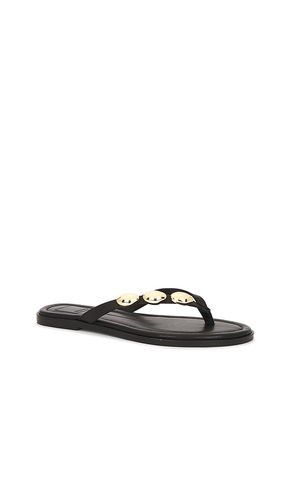 TONGS PLATES JUNY en . Taille 10. Also en 6, 6.5, 7, 7.5, 8, 8.5, 9 - Dolce Vita - Modalova