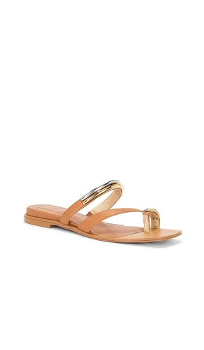 SANDALES TARINA en . Taille 6. Also en 6.5, 7, 7.5, 8, 8.5, 9.5 - Dolce Vita - Modalova