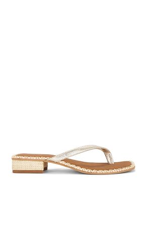 SANDALES BARTY en . Taille 6.5. Also en 7, 8, 8.5, 10 - Dolce Vita - Modalova