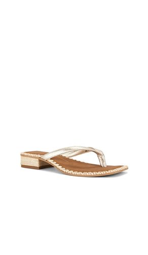 SANDALES BARTY en . Taille 6.5. Also en 7, 8, 8.5, 10 - Dolce Vita - Modalova