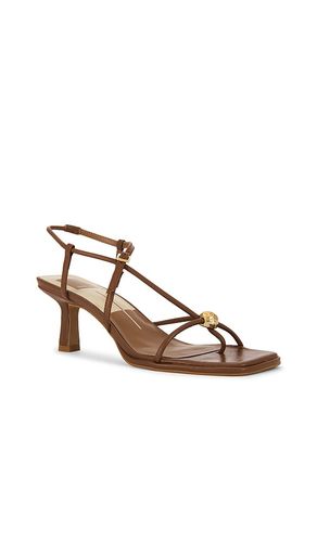 SANDALES MYLEE en . Taille 11. Also en 6, 6.5, 7, 7.5, 8, 8.5, 9 - Dolce Vita - Modalova