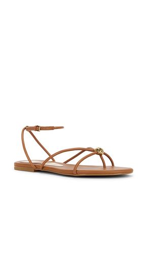 SANDALES KENLEY en . Taille 6.5. Also en 8, 9 - Dolce Vita - Modalova