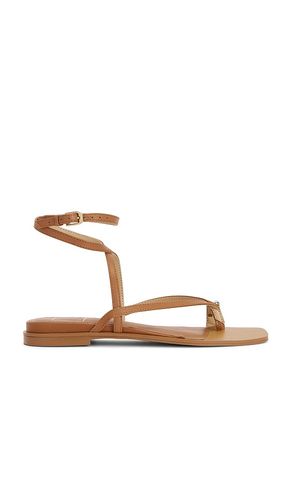 SANDALES TYRICE en . Taille 6. Also en 6.5, 7, 7.5, 8, 8.5, 9, 9.5, 10 - Dolce Vita - Modalova