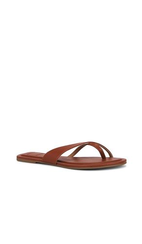 SANDALES TONG LENEX en . Taille 6. Also en 6.5, 7, 7.5, 8, 8.5, 9, 9.5 - Dolce Vita - Modalova