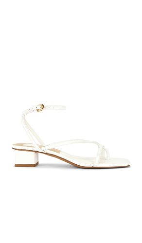 ESCARPINS KARLOS en . Taille 6.5. Also en 7, 8 - Dolce Vita - Modalova