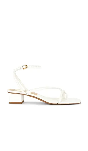 ESCARPINS KARLOS en . Taille 6. Also en 6.5, 7, 7.5, 8, 8.5, 9, 9.5, 10 - Dolce Vita - Modalova