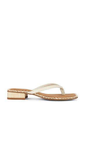 SANDALES TONG BARTY en . Taille 6. Also en 6.5, 7.5, 8, 8.5, 9.5 - Dolce Vita - Modalova