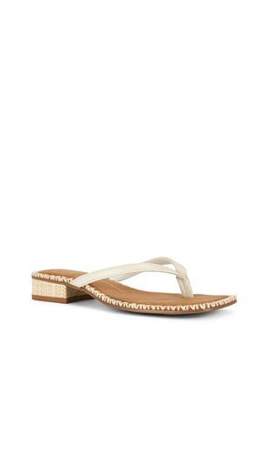SANDALES TONG BARTY en . Taille 6. Also en 6.5, 7, 7.5, 8, 8.5, 9, 9.5 - Dolce Vita - Modalova