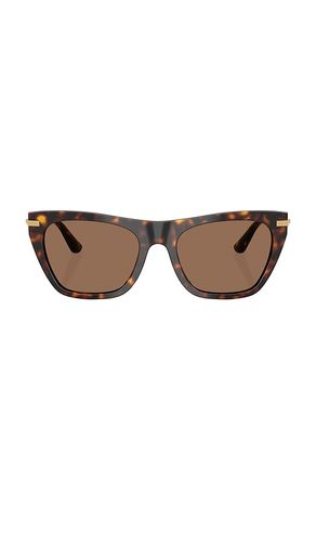 Cat Eye Sunglasses in - Dolce & Gabbana - Modalova