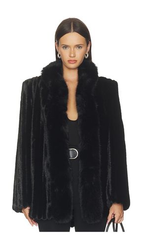BLOUSON EN FOURRURE SIENNA en . Taille L. Also en M, S, XS - Ducie - Modalova
