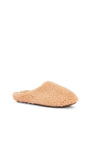 PANTOUFLES en . Taille L. Also en M, S - eberjey - Modalova