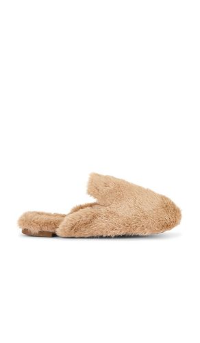 Plush Mule Slipper en . Taille L. Also en - eberjey - Modalova