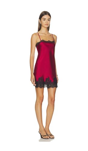 ROBE COURTE ELLIE en . Taille S. Also en XS, M, L, XL - Elodie the Label - Modalova