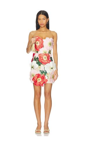 ROBE SOLARA en ,. Taille S. Also en L, XL - ELLIATT - Modalova