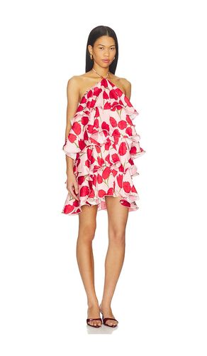 ROBE MELIA en . Taille M. Also en S, XS - ELLIATT - Modalova