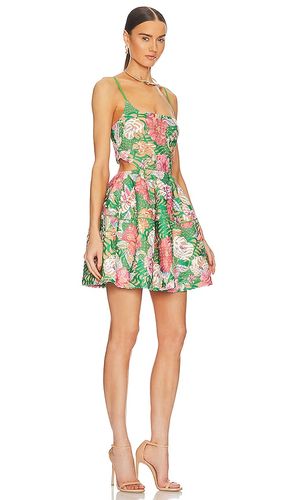 ROBE MIKAELA en . Taille L. Also en M, S, XL - ELLIATT - Modalova