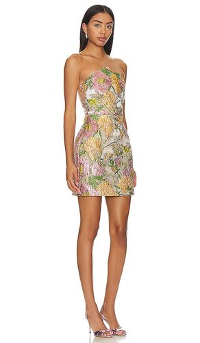 ROBE BUSTIER PATRICIA en . Taille S. Also en M, L, XL - ELLIATT - Modalova