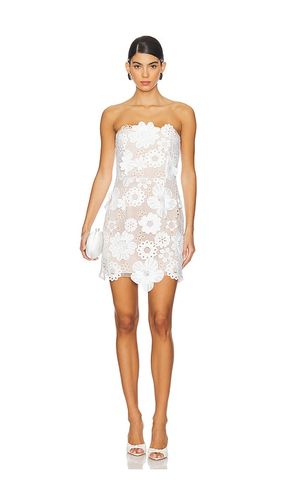 Autumn Mini Dress in . Size M. Also in XL - ELLIATT - Modalova