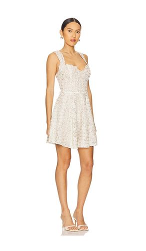 ROBE MINI CORSET CALI en . Taille M. Also en S, XS - ELLIATT - Modalova