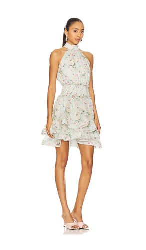 ROBE COURTE MILENA en . Taille L. Also en M, XL - ELLIATT - Modalova