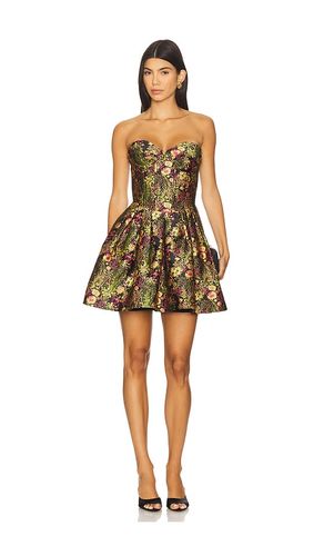 ROBE BUSTIER COURTE CINDY en . Taille L. Also en S, XL - ELLIATT - Modalova