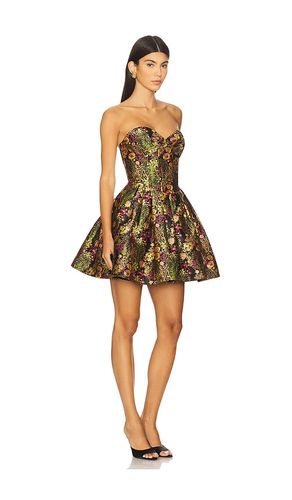 ROBE BUSTIER COURTE CINDY en . Taille S. Also en L, XL - ELLIATT - Modalova