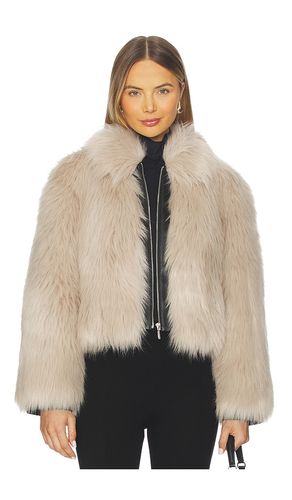 BLOUSON IMPRIMÉ YATES en . Taille L. Also en M - ET OCHS - Modalova