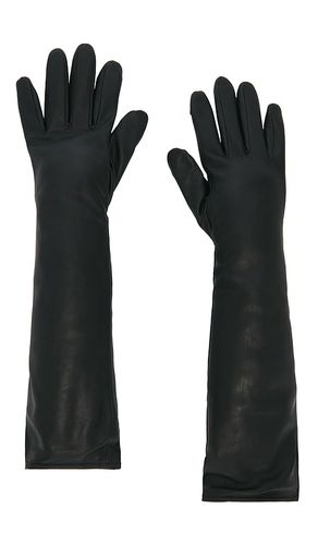 GANTS LONG LINES en . Taille S. Also en M, L - Favorite Daughter - Modalova