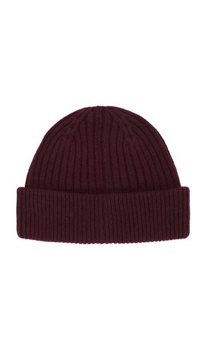 The Classic Logo Beanie in - Favorite Daughter - Modalova