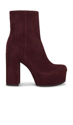 BOTTINES RAE en . Taille 10. Also en 6.5, 7, 7.5, 8, 8.5, 9, 9.5 - Favorite Daughter - Modalova