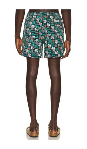 MAILLOT DE BAIN en . Taille S. Also en M, L - Fair Harbor - Modalova
