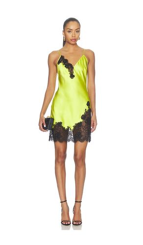 Juliet Lace Mini Slip en . Taille L. Also en M, S, XS - fleur du mal - Modalova
