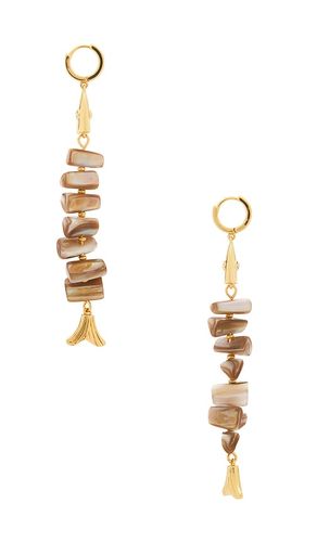 Fresh Catch Earrings in - Frasier Sterling - Modalova