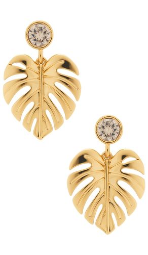 Beverly Earrings in - Frasier Sterling - Modalova