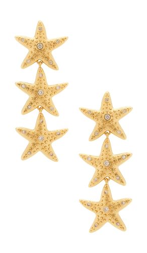 Sea Star Earrings in - Frasier Sterling - Modalova