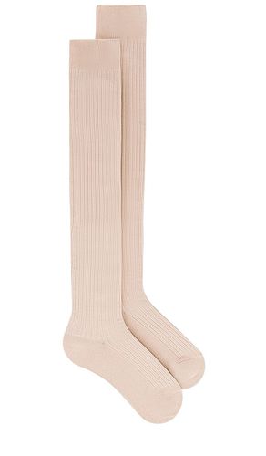 CHAUSSETTES HAUTES VIOLA in - Free People - Modalova