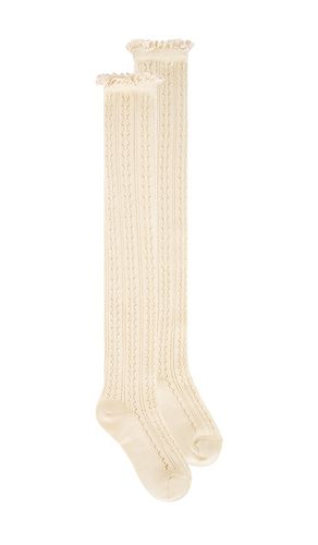 CHAUSSETTES MIISTY NET POINTELLE TALL en - Free People - Modalova