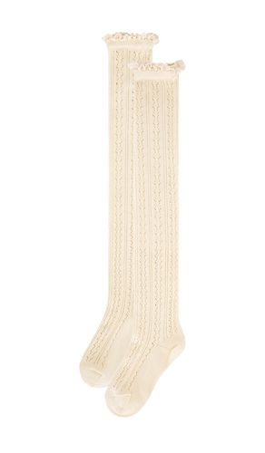 CHAUSSETTES MIISTY NET POINTELLE TALL en - Free People - Modalova
