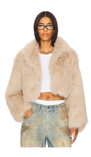 BLOUSON CROPPED IMITATION FOURRURE PARIS in . Size M, S, XL, XS - Free People - Modalova